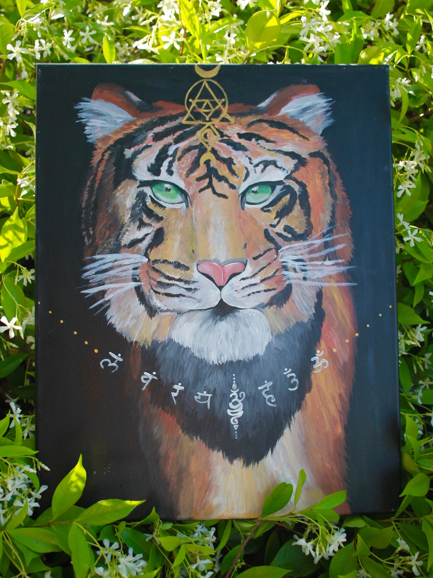 Kingdom (1/3)