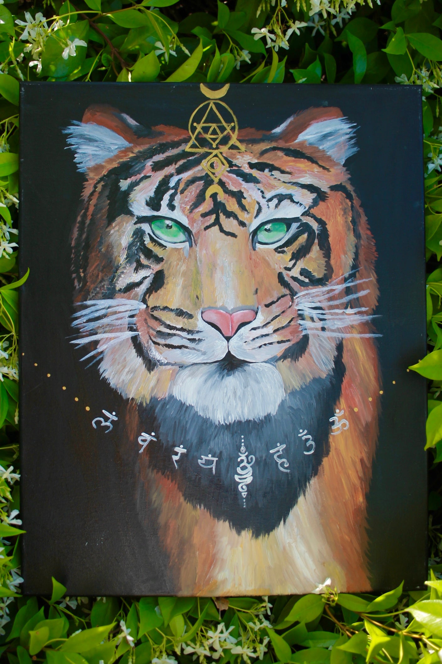 Kingdom (1/3)